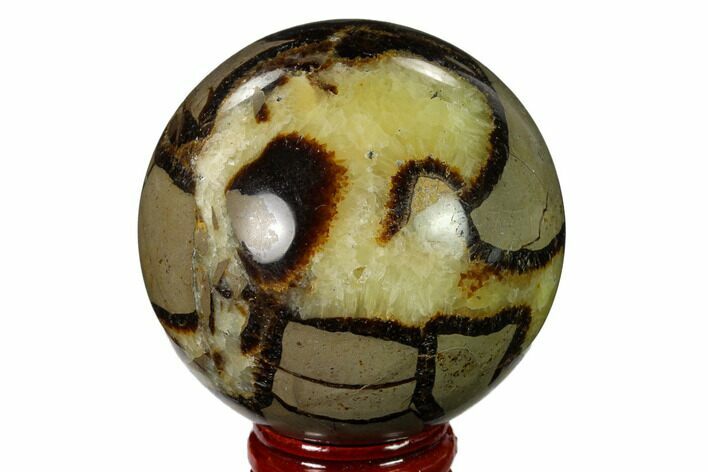 Polished Septarian Sphere - Madagascar #154117
